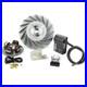 Allumage Électronique FLYTECH TOURING PINASCO MPN 26357732 20 mm 1,6 VE