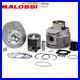 Cylindre Complet Aluminium Per Vespa Px Cosa 200 P200E MALOSSI 3116346