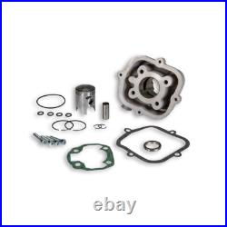 Cylindre MALOSSI D 39 Aluminium pour 31 5477 Cylindre MALOSSI D 39 Aluminium pour 31 5477