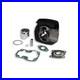 Cylindre Malossi D 50 En Fonte Pour Suzuki 50 TS ER21 AUTO 1979-1983
