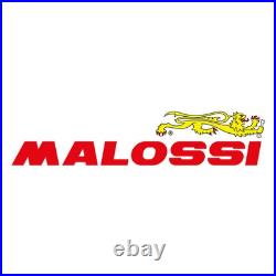 Engrenages Secondaires Malossi 6711079 HTQ Z 15/41 Calettamento Ø 17