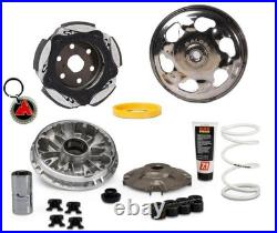 Ensemble Friction Et Variateur Malossi Pour Honda Forza 350 2021-2026