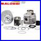 Groupe Thermique Cylindre Complet MALOSSI Diamètre 68,5 Piaggio Vespa Qu 200 2T
