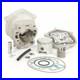 MALOSSI 3112228 Groupe Thermique Cylindre Compétition MBK 50 X Limit 2003-2004