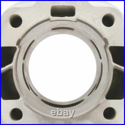MALOSSI 3112228 Groupe Thermique Cylindre Compétition MBK 50 X Limit 2003-2004