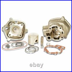MALOSSI 3112228 Groupe Thermique Cylindre Compétition MBK 50 X Limit 2003-2004