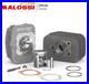 MALOSSI Ciao Groupe Thermique 65cc 43 Axe de Piston 10 Piaggio Ciao Px 3118732
