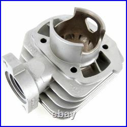 MALOSSI M3112901 Cylindre Compétition Pour Peugeot 50 Ludix 10 Snake/2 2004-2004