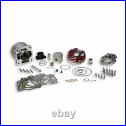 MALOSSI M3115883 Cylindre Compétition PIAGGIO 50 NTT 1994-1998