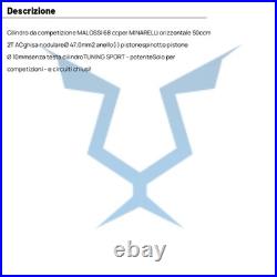 MALOSSI M317002 Cylindre Compétition PGO 50 Galaxy 2T 1993-1993
