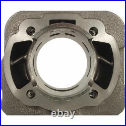 MALOSSI M317200 Cylindre Compétition BSV 50 GP Dieu 1994-2003
