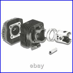MALOSSI M317200 Cylindre Compétition BSV 50 GP Dieu 1994-2003