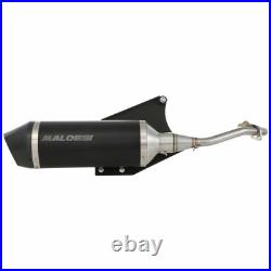 MALOSSI M3217684 Silencieux Racing Rx Piaggio pour Vespa Sprint 4T 125 2016-2020 MALOSSI M3217684 Silencieux Racing Rx Piaggio pour Vespa Sprint 4T 125 2016-2020