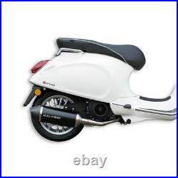 MALOSSI M3217684 Silencieux Racing Rx Piaggio pour Vespa Sprint 4T 125 2016-2020 MALOSSI M3217684 Silencieux Racing Rx Piaggio pour Vespa Sprint 4T 125 2016-2020
