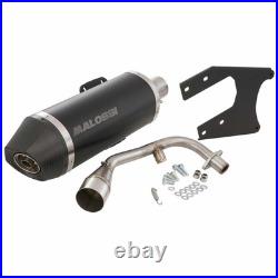 MALOSSI M3217684 Silencieux Racing Rx Piaggio pour Vespa Sprint 4T 125 2016-2020 MALOSSI M3217684 Silencieux Racing Rx Piaggio pour Vespa Sprint 4T 125 2016-2020