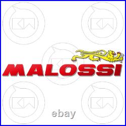 Malossi 537600 Vilebrequin Rhq Spinotto Ø12 Piaggio Fly 50 2T