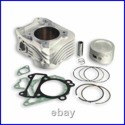 Malossi M3111393 Cylindre Compétition Piaggio 150 Liberty 2008-2008