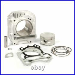 Malossi M3111393 Cylindre Compétition Piaggio 150 Liberty 2008-2008