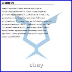 Malossi M3111393 Cylindre Compétition Piaggio 150 Liberty 2008-2008