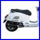 Malossi M3218016 Silencieux Racing RX Piaggio 300 Pour Vespa GTS 2017-2018
