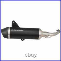 Malossi M3218016 Silencieux Racing RX Piaggio 300 Pour Vespa GTS 2017-2018 Malossi M3218016 Silencieux Racing RX Piaggio 300 Pour Vespa GTS 2017-2018