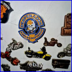 Pins Badge Moto Hd Collection Harley-davidson Hog Chapter