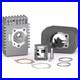 Set Groupe Thermique Cylindre MALOSSI 46,5 Piaggio Grillo 50 2T Axe de Piston 10