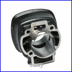 Set Groupe Thermique MALOSSI D. 47 Pour Aprilia Sr R 50 2T LC 2018 COD. 317353