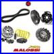 Set Transmission Malossi Courroie Variateur Embrayage Vespa GTS 125 2020 2021