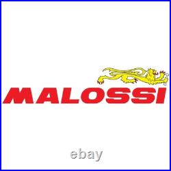 Variateur 5114263 Malossi Complet Suzuki Burgman AN 400 K7 2007 2008 2009 2010